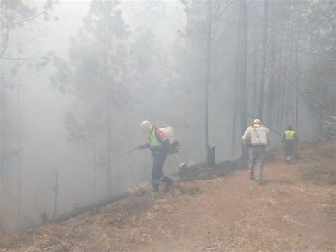 Combaten autoridades incendios forestales en Tlaxco Terrenate y Lázaro