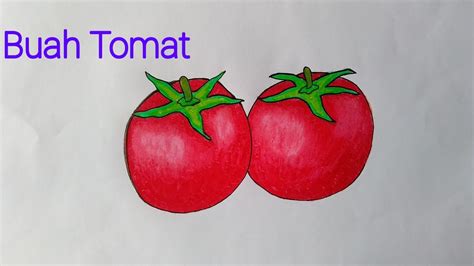 Menggambar Buah Tomat Cara Menggambar Tomat Yang Simpel Youtube