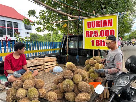 Musim Durian Tiba Di Kota Ini Harganya Cuma Rp Ribu Per Biji