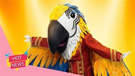 The Masked Singer Macaw Identity Prediction Clues Youtube