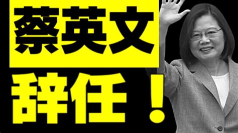 台湾地方選 与党・民進党、惨敗 蔡英文総統が党主席を引責辞任 Youtube