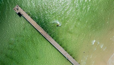 Above Seaford Pier - Mike Launder Photography