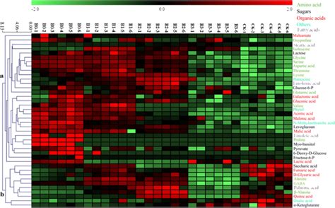 Heat Map Analysis Combined With Hierarchical Cluster Analysis Hca Of