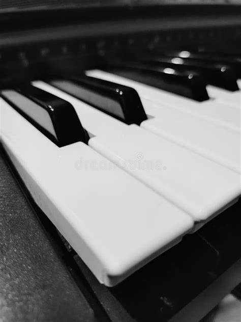 Teclas De Piano En Blanco Y Negro Tomadas Desde Arriba Como Imagen