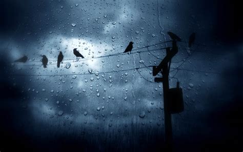 Live Rain Wallpaper - WallpaperSafari