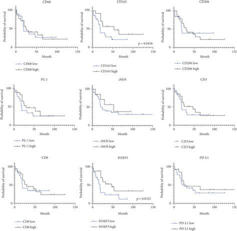 Kaplan Meier Curves Of Overall Survival Os In Esophageal Squamous