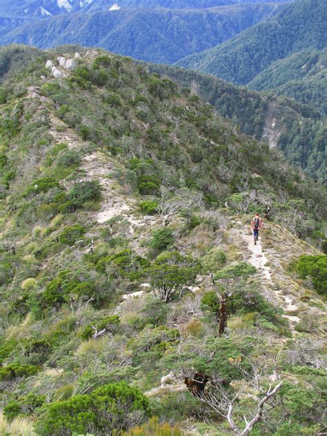 The Old Ghost Road | Nga Haerenga, The New Zealand Cycle Trail