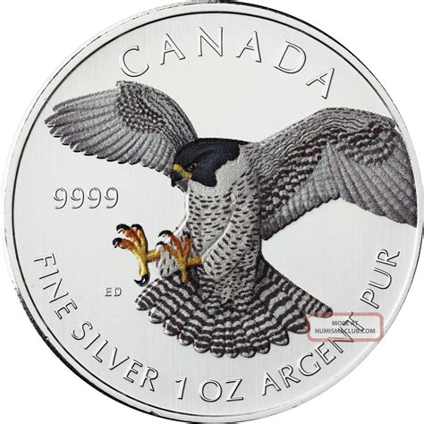 1 Oz Silver Color Coin Canada Birds Of Prey Peregrine Falcon Colored 2014