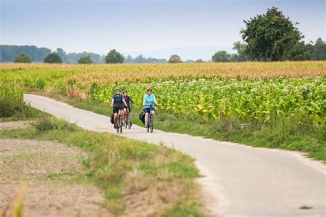 schönsten Radtouren an der Rheinebene Outdooractive