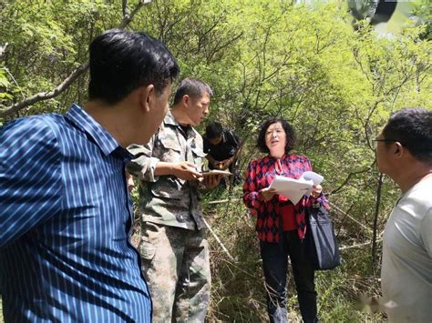 【山东】山东省自然资源厅火灾风险普查督导组莅临泰山景区检查督导森林火灾风险普查进展情况