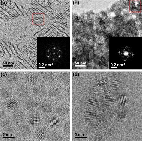 Low Magnification Zero Loss Filtered Tem Images Of Pbs Qds Capped With