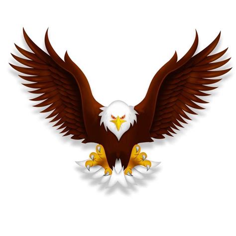 Pin By Allawi On For Designs Eagle Drawing Eagle Wallpaper