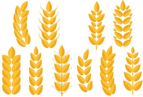 Free Wheat 2 Vectors 166395 Vector Art At Vecteezy