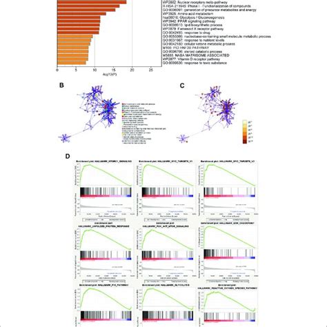 A Heatmap Of Enriched Terms Across The Inputted Gene List Colored