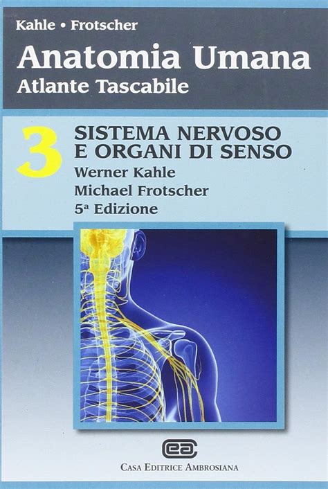 Amazon Anatomia Umana Atlante Tascabile Sistema Nervoso E Organi