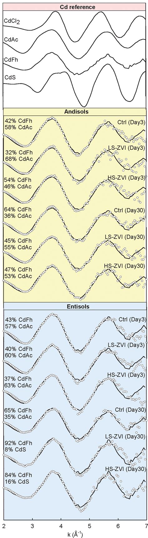 Cadmium K Edge Extended X Ray Absorption Fine Structure EXAFS Spectra