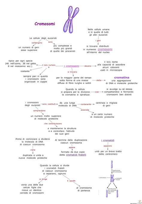 Paradiso Delle Mappe Cromosomi