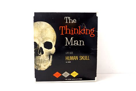 Vintage Human Skull Anatomy Model with Manual, Life Size (c1960s ...