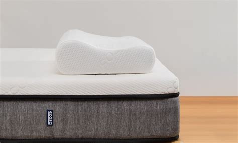 Ecosa Pillow Review | Best Mattress AU