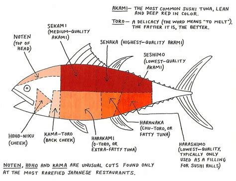 Japanese Guide To Sushi Tuna Tuna Sushi Bluefin Tuna Toro Sushi