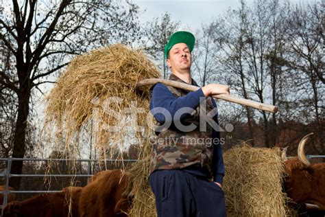 Proud Farmer Stock Photo Royalty Free Freeimages