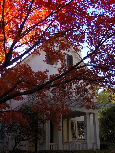 Autumn In The Gardens A House In Forest Hills Gardens Flickr