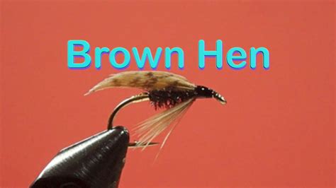 Traditional Wet Fly Trout Patterns The Brown Hen Youtube