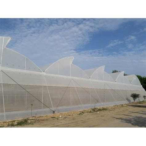 PVC Naturally Ventilated Polyhouse For Agriculture Farming At Rs 844