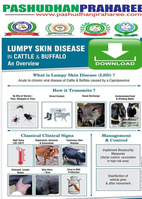 Treatment And Control Strategies Of Lumpy Skin Disease In Pakistan