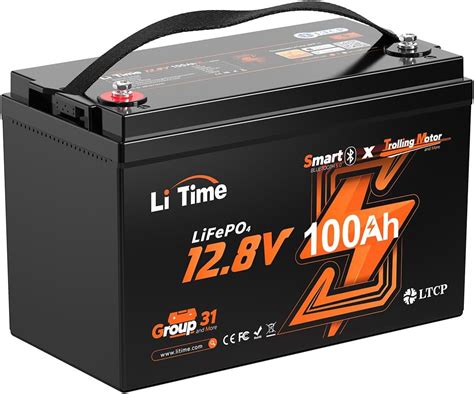 LiTime 12V 100Ah TM Bluetooth Lithium LiFePO4 Battery Low Temp