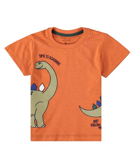 Riachuelo Camiseta Infantil Dinossauro Laranja Tam A Pool By