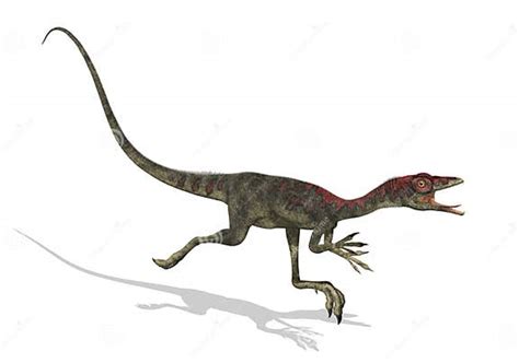 Funcionamiento Del Dinosaurio De Compsognathus Stock De Ilustración Ilustración De Criatura