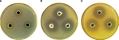 Frontiers Isolation And Characterization Of Probiotic Lysinibacillus