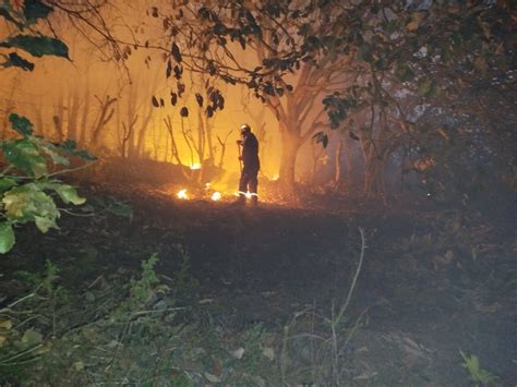 Combate PC Guerrero Seis Incendios Forestales En El Estado Anews