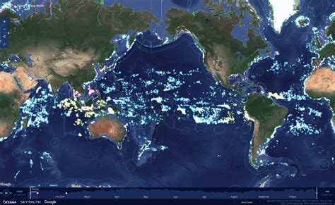 Mapa Portales Y Datos De Global Fishing Watch