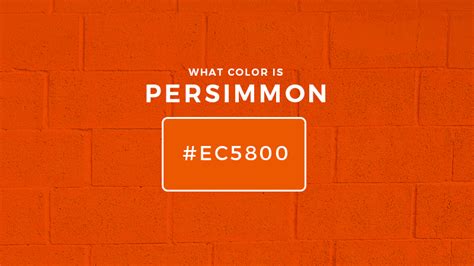 What Color Is Persimmon? About Persimmon Color