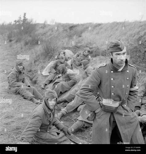 The British Army In North West Europe 1944 45 German Prisoners Captured