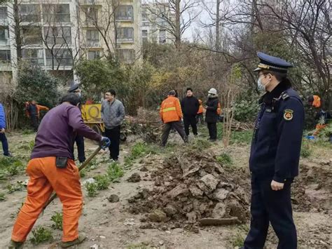 【城管进社区】600平菜地被铲除？闵行城管提示您：种菜不可太任性！ 澎湃号·政务 澎湃新闻 The Paper