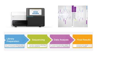 Targeted Enrichment Mutation Analysis Using Illumina Sequencing