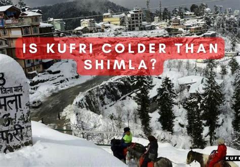 Kufri.org - Explore the Beauty of Himachal Pradesh