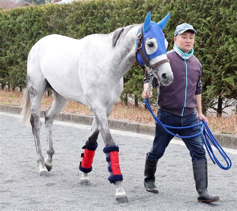 東京大賞典4連覇のオメガパフュームが引退撤回 現役続行に安田翔調教師「関係者間で協議した結果」 Umatoku 馬トク