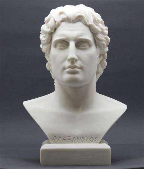 Amazon de Alexander The Great Head Büste griechische Statue aus