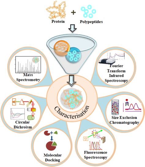 Various Characterization Techniques For Investigate Protein Polyphenol