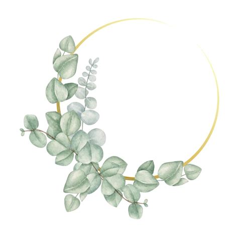 Premium Vector Watercolor Eucalyptus Leaves With Golden Round Frame