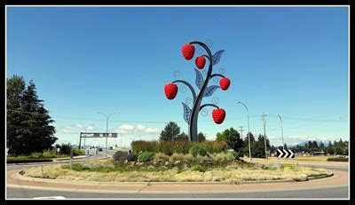 Giant Raspberries — Abbotsford, BC - Roadside Attractions on Waymarking.com