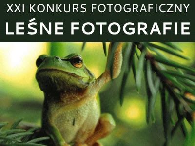 Konkurs Fotograficzny Le Ne Fotografie Fajnekonkursy Pl