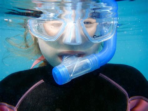 Snorkeling Maudytis Vasara Kauk Povandeninis Nemokamos Nuotraukos