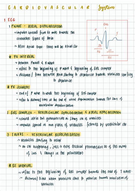 SOLUTION Cardiovascular System Studypool