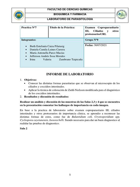 Formato Informe De Laboratorio Parasitologia Descargar Gratis Pdf