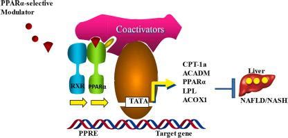 Ppar Bioorganic Medicinal